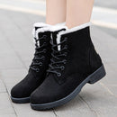 Bota Feminina Cano Curto Stella - Conforto e Versatilidade